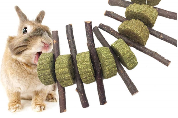 Top 8 Best Bunny Chew Toys – Latest reviews